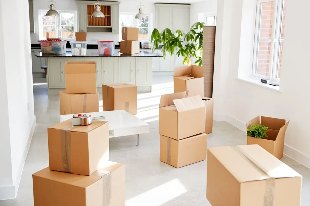 Find a Local Removal Company Near You Without the Usual Stress