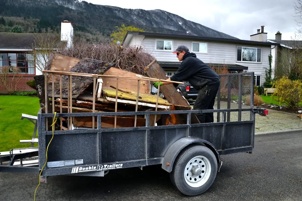 Reliable Waste Removal That Feels (1)