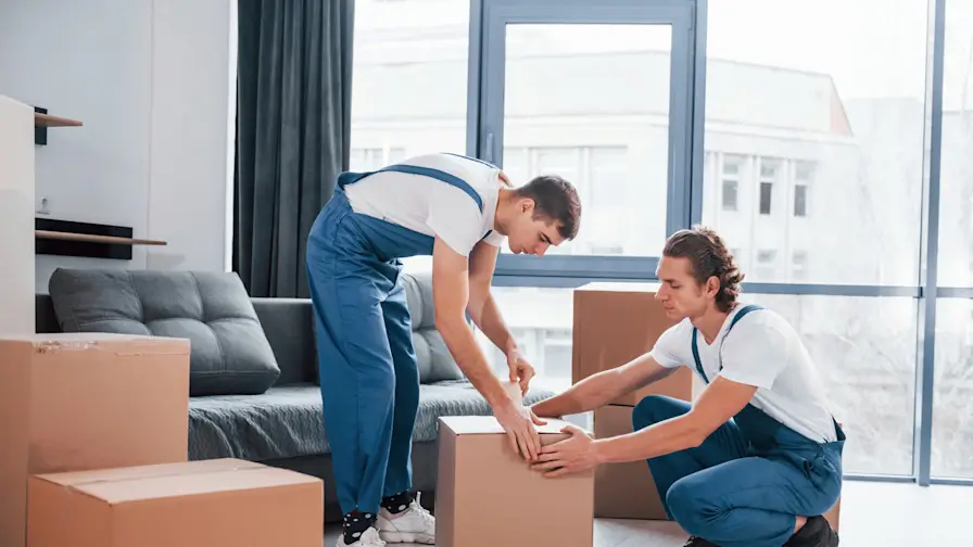 domestic-removals (1)