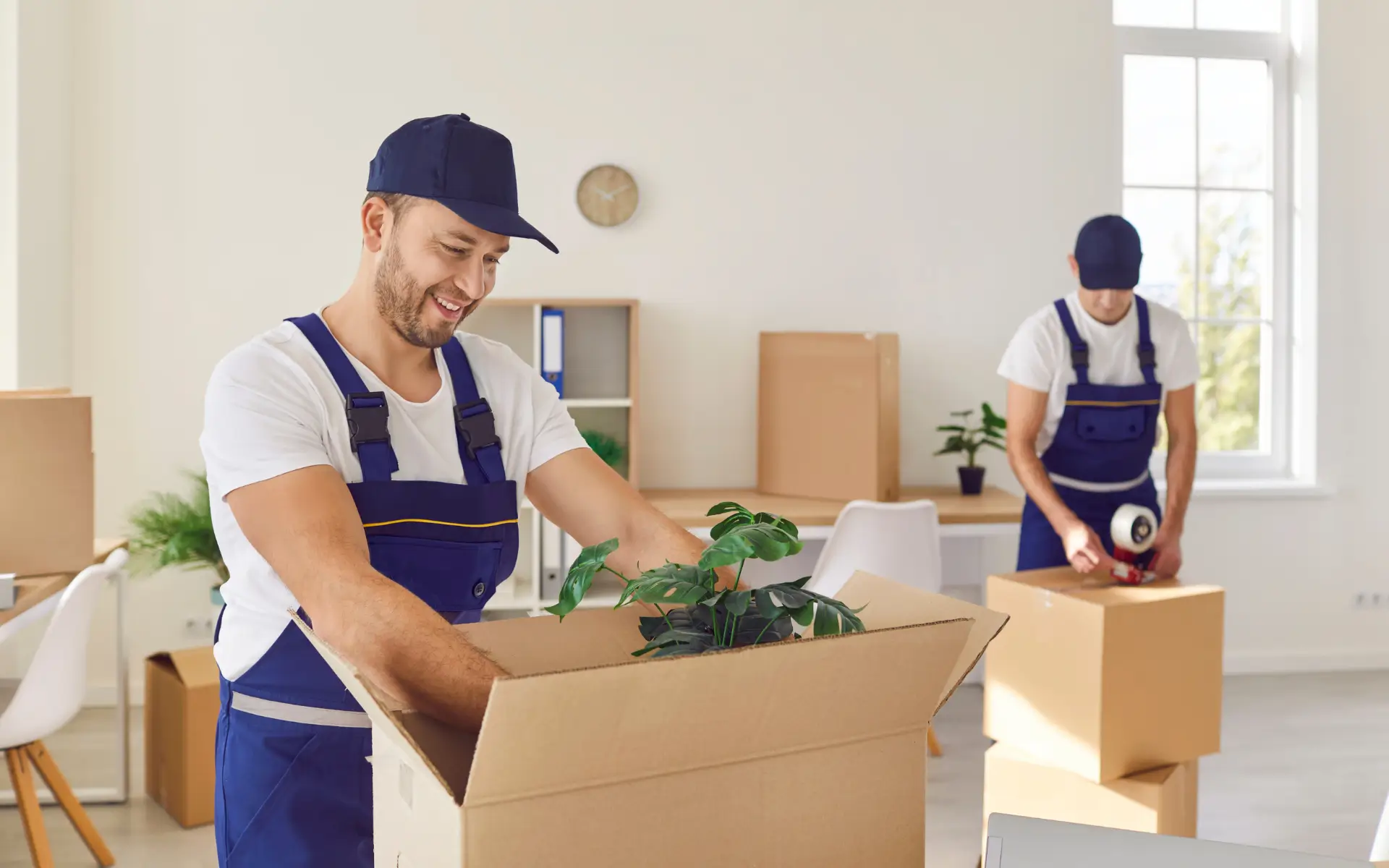 Advanced Handling for Delicate Home Items