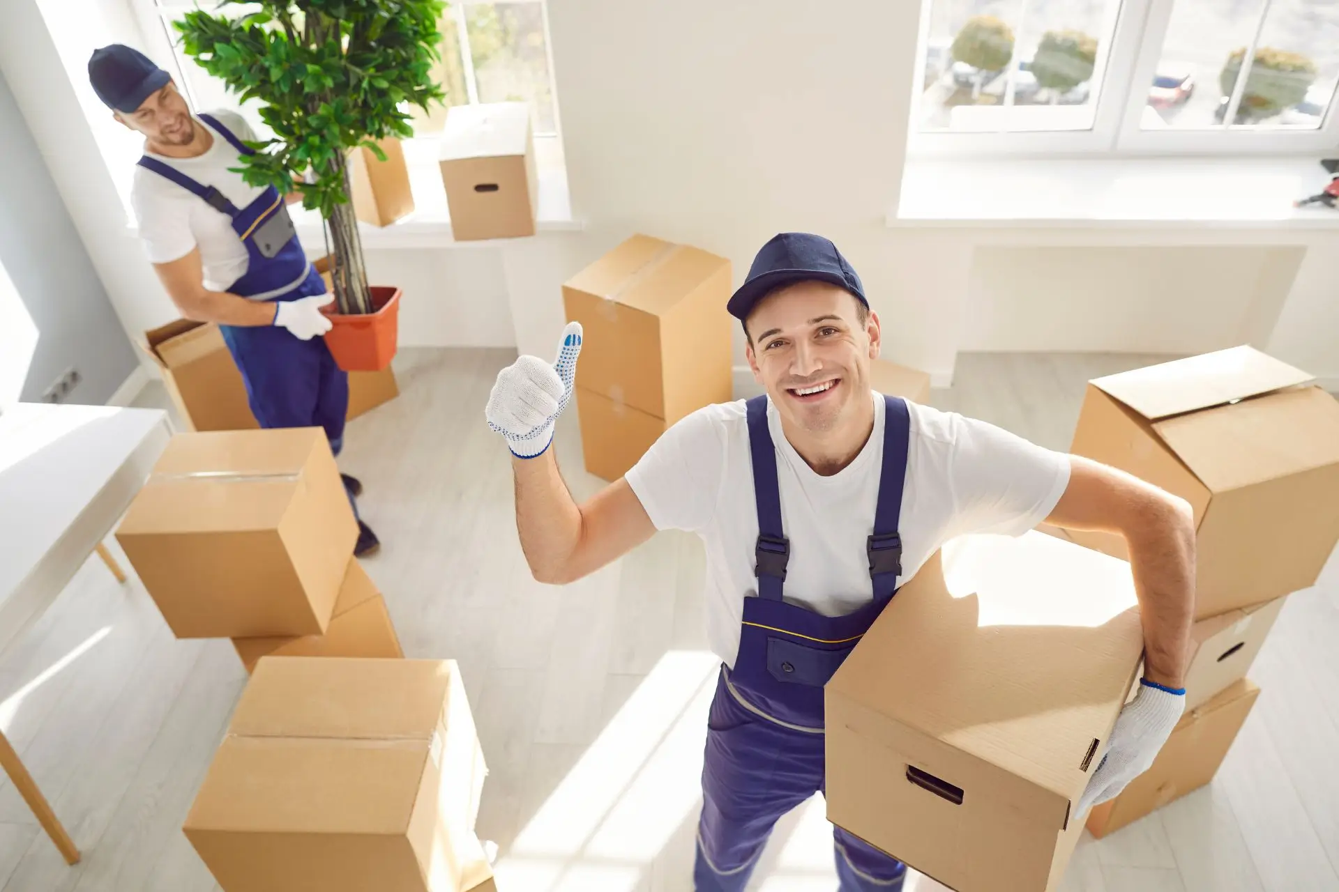 Enhancing Your Move with Local Expertise and Landmark Knowledge