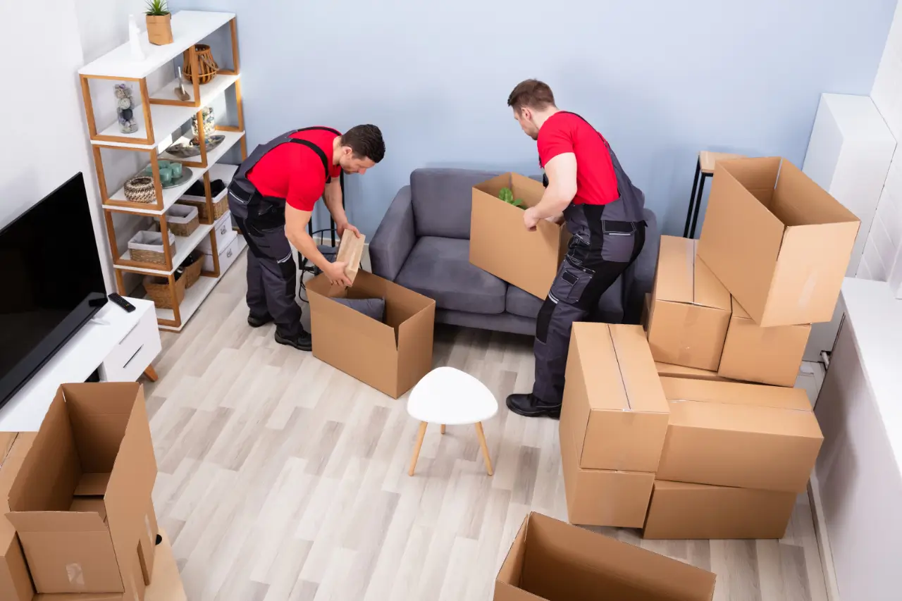 High Quality Expert Packing Services for Canonbury Moves (1)