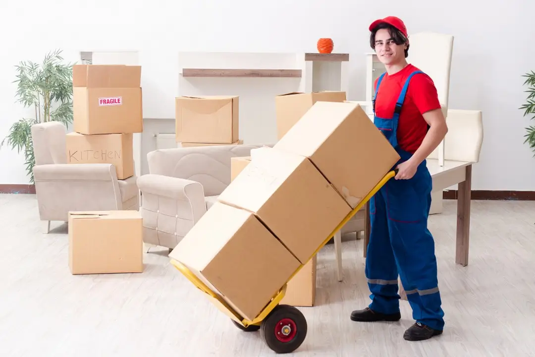 House Removals Eltham (1)