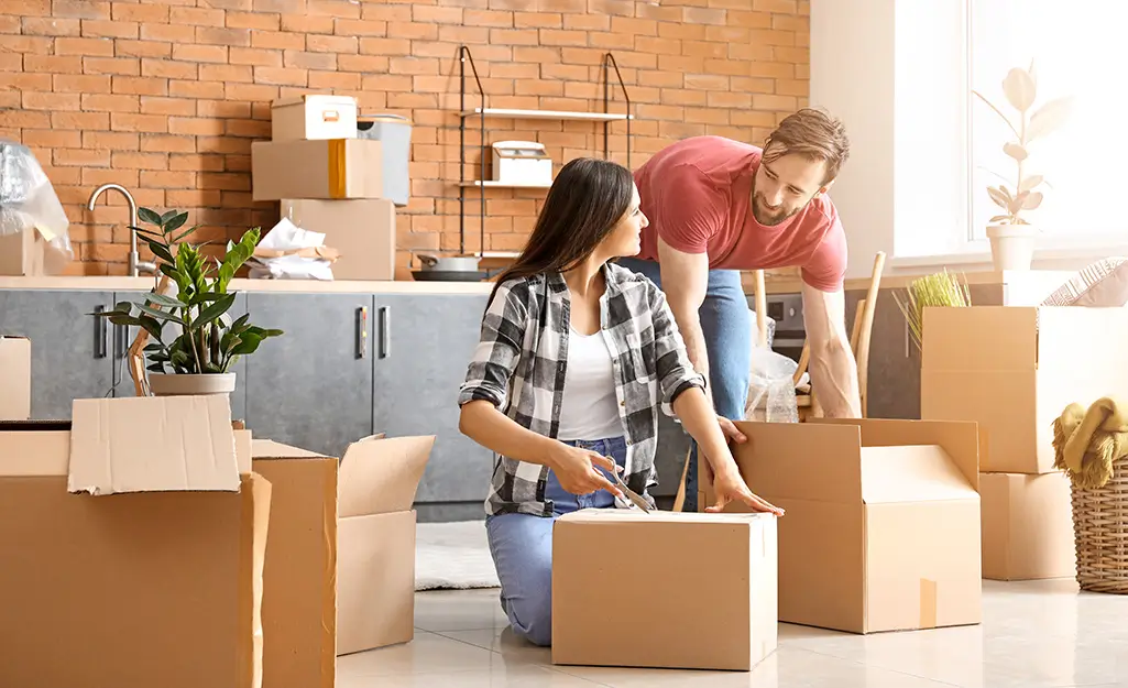 House Removals Homerton